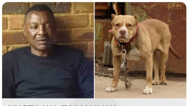 Umukinyi w'umupira w'amagaru yishwe n'imbwa ze eshatu