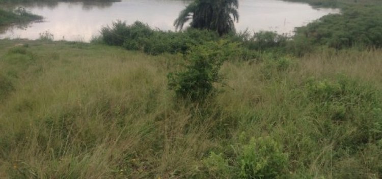 Abasore bane bishe mushiki wabo bamuziza umunani