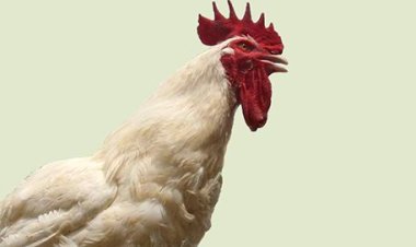 Isake yakatiwe n'urukiko igihano cyo kwicwa