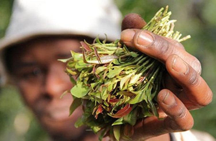 Nyuma y'ibyumweru bitandatu bakoze ubukwe, yatse gatanya nyuma yo kumusanga ariho arya kandi bari mu gisibo