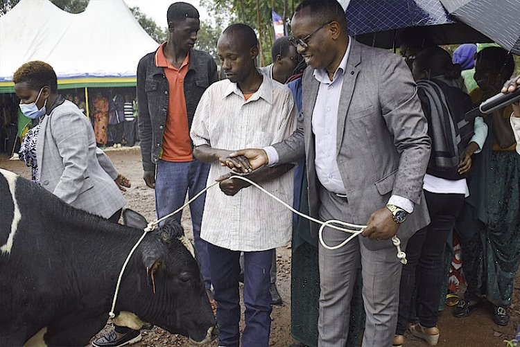 Rulindo: Imiryango 40 Yahawe Inka zitanga umukamo