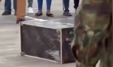 Shoferi na Komvayeri bafatanywe inzoka bashyize mu isanduku