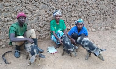 Ishyaka Green Party ryoroje abarwanashyaka baryo bo mu karere ka Gicumbi