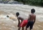 Yarinze apfa bafata Video