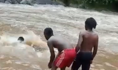 Yarinze apfa bafata Video