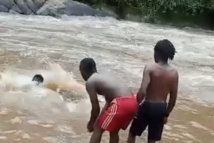 Yarinze apfa bafata Video